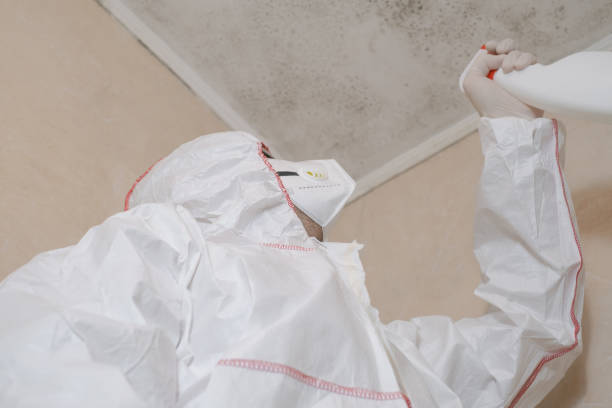 Best Attic Mold Removal  in Alva, OK