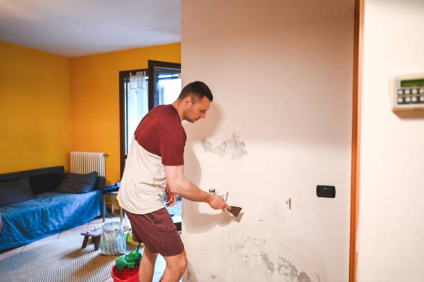 Best Certified Mold Removal  in Alva, OK