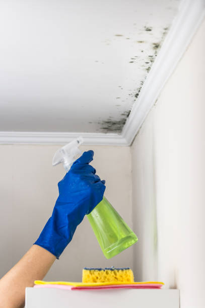 Best Crawl Space Mold Removal  in Alva, OK